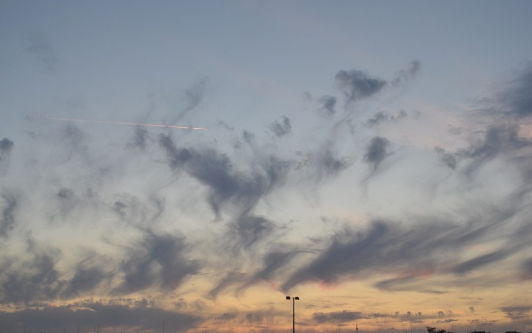 flores y nubes