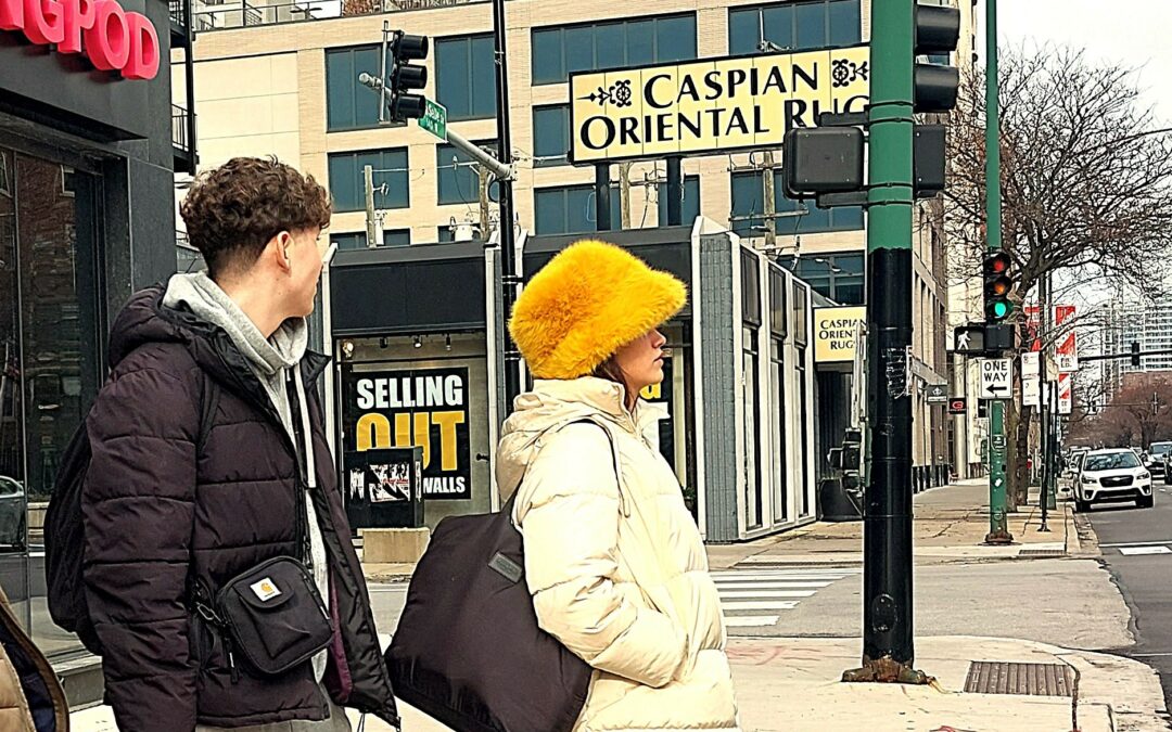 A veces jungla, a veces desierto